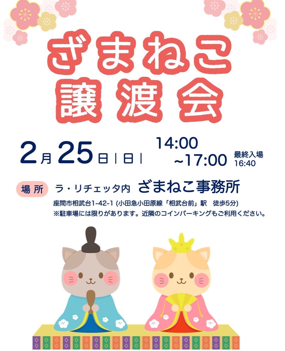 ざまねこ譲渡会