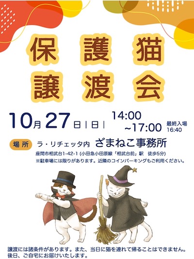 10月の保護猫譲渡会