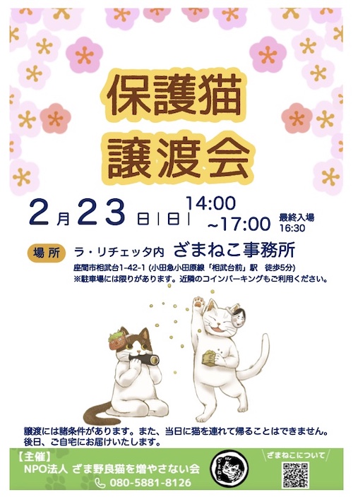 ２月の譲渡会のお知らせ
