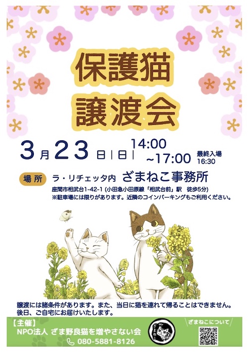 ３月の譲渡会