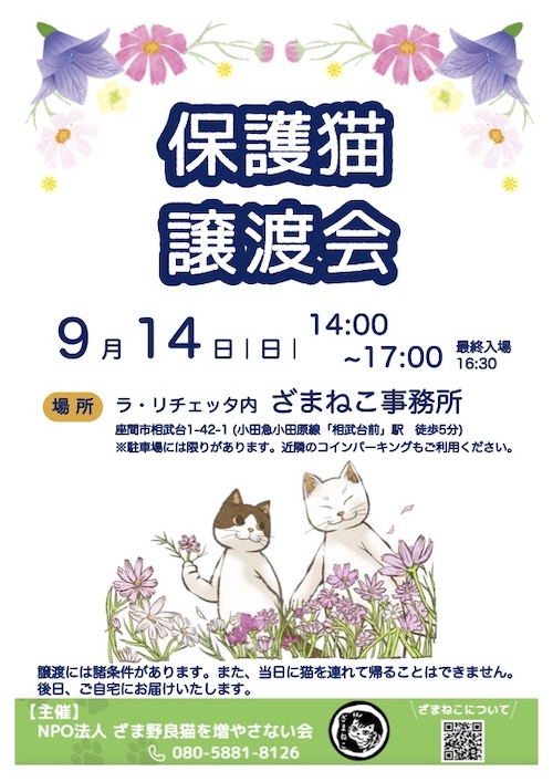 ９月の譲渡会のおしらせ