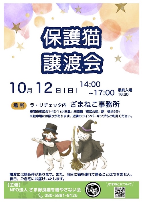 10月の譲渡会のおしらせ