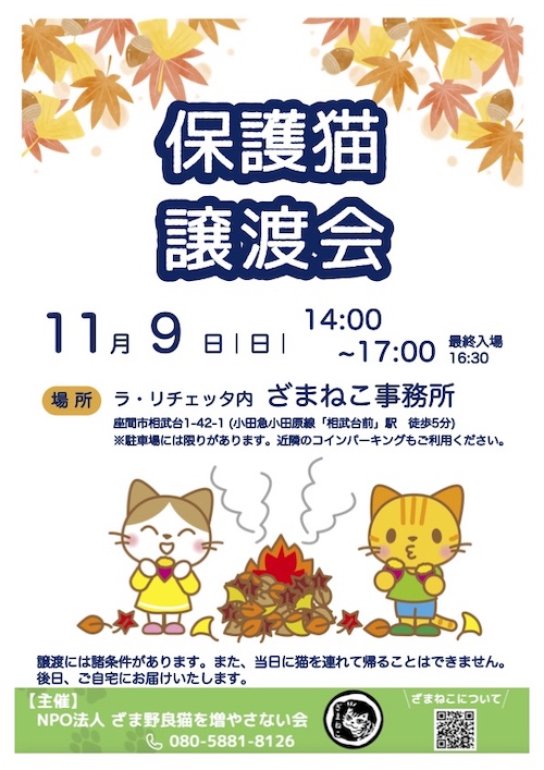 11月の譲渡会おしらせ
