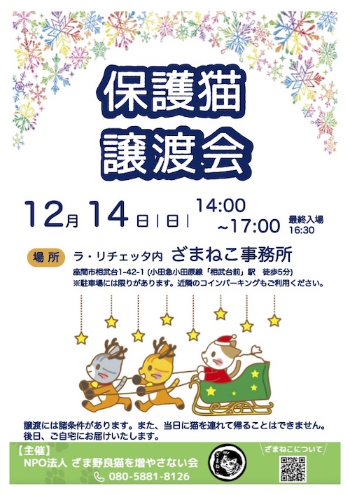１２月の譲渡会のおしらせ