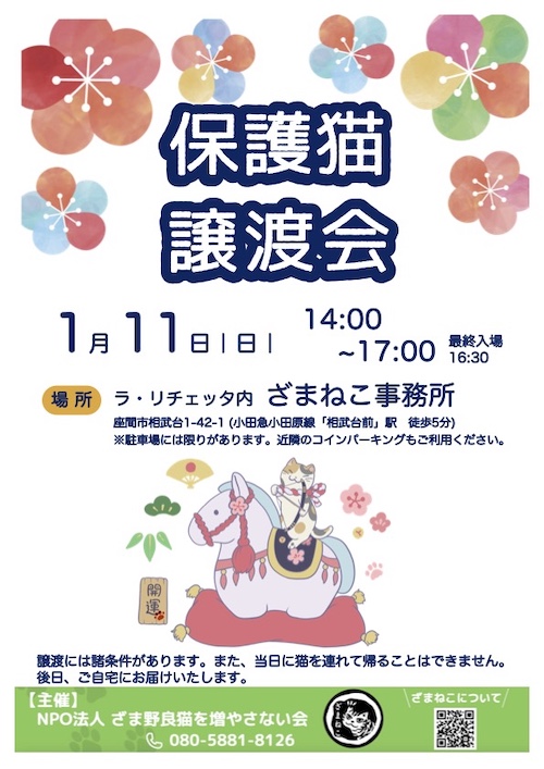 1月の譲渡会おしらせ