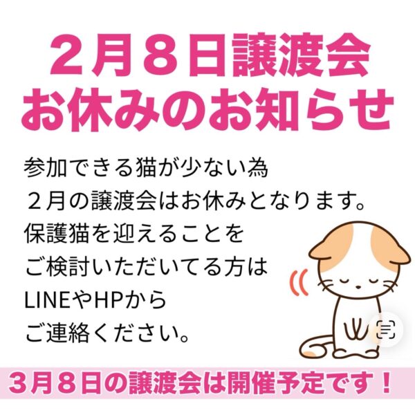 2月の譲渡会お休みのおしらせ