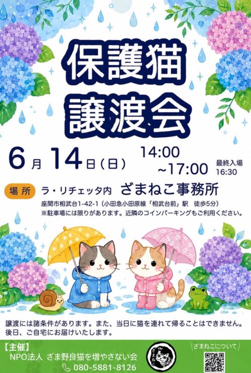 6月の譲渡会
