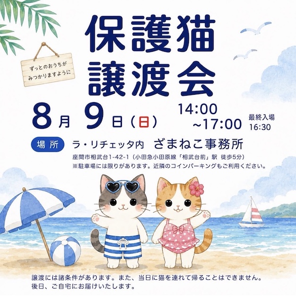 ８月の譲渡会