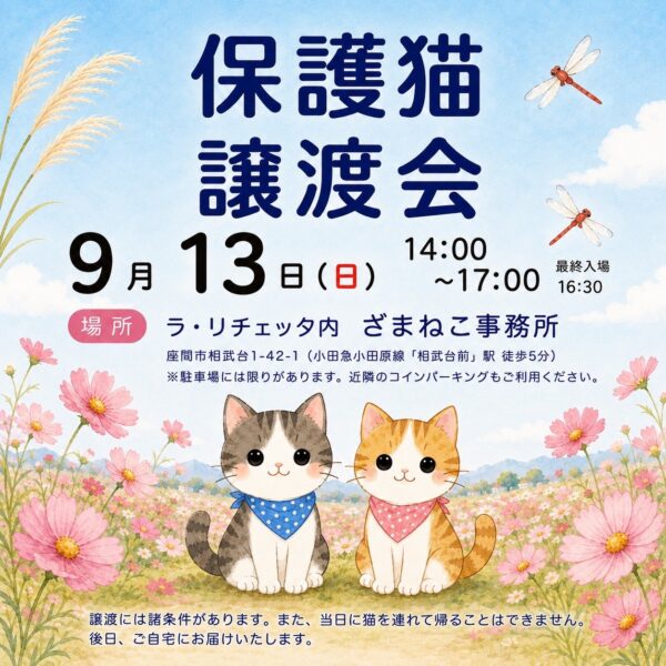 9月の譲渡会