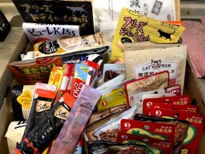 2018年11月～2019年1月