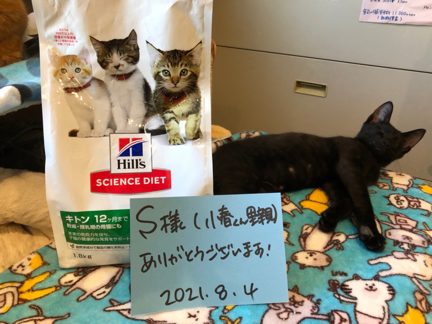 2021年8月